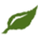 Robért Fresh Market logo