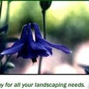 Robidoux Landscaping logo