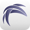 Meti Software logo