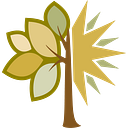 ROCHESTER AREA FOUNDATION logo