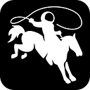 Favicon of Rocketrodeo