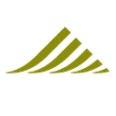 Ignite Young Professionals logo