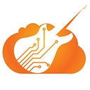 Rock Your Data logo