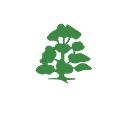 Rodillian Academy logo