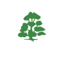 The Rodillian Academy logo