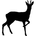Roebuck Courier Services logo