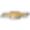 Roger Dean Chevy logo
