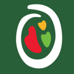 ROI logo