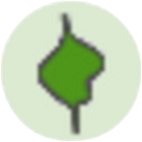 Western Road Dental Practice logo
