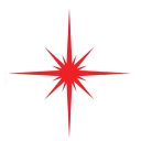 Rook Interactive, Inc. logo