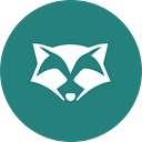 RoomRaccoon