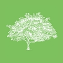Roots And Shoots logo