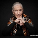 Favicon of Jane Goodall Institute - Roots & Shoots