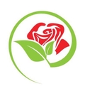 Rose City Glass logo