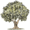 Rosenbaum's Landscaping & Nursery logo