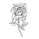 Harkness Roses logo
