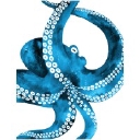 Rosoka Software, Inc. logo