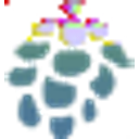 The Ross Foundation logo