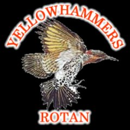 ROTAN K-12 logo