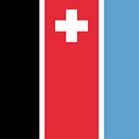 Rotzinger Group