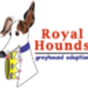 royalhounds.org icon