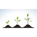Roy Newey Growth Partnership logo