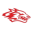 Reeds Spring School District logo