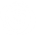 Rose Tree Media SD logo