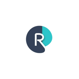 Rubicon IT Solutions LLC logo