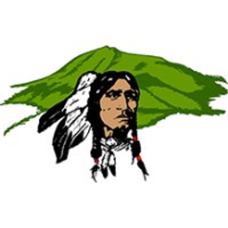 Ruidoso Municipal Schools logo