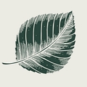 Rumbling Bald on Lake Lure