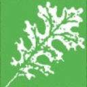 Rundes Landscape Contractors logo