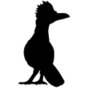 Favicon of RoadRunners Moving & Storage