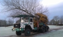 Ruskins Trees & Landscapes Ltd logo