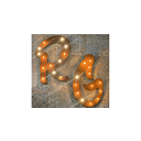 Rustic Gals Boutique LLC 