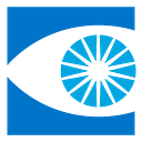 Retina Vitreous Associates logo