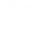 Minerva Capital Management logo