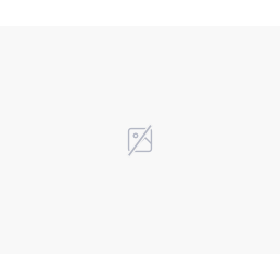 RWaltz Software Services Group Inc. logo