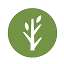 Roots Wellness Center