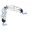Red Willow Production Company logo