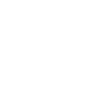 The Ryan Foundation logo