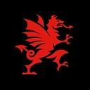 Brains Brewery logo
