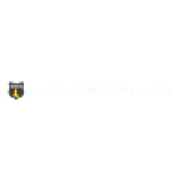 SACA Online logo