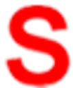 South Asian Chamber Of Commerce logo