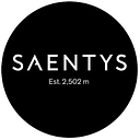 Saentys logo