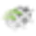 Saertex Multicom Group logo