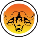 Safari Electric, Llc logo