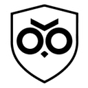 Safeguard AI Group