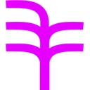 Safetonet Ltd logo