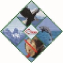 Global Environmental Network, Inc. logo